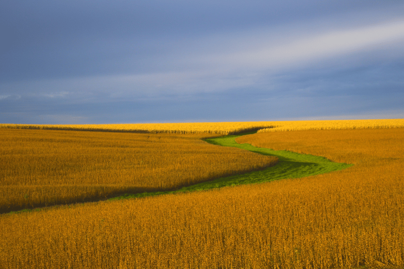 Smith Insurance Services LTD - crop insurance